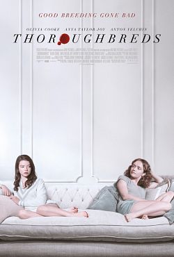 Thoroughbreds (Pur-sang)
